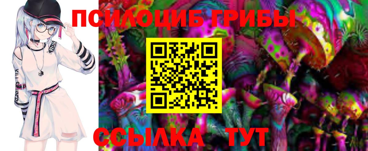 Псилоцибиновые грибы Cubensis  Вход с VPN  Карпинск  Псилоцибиновые грибы мухоморы 